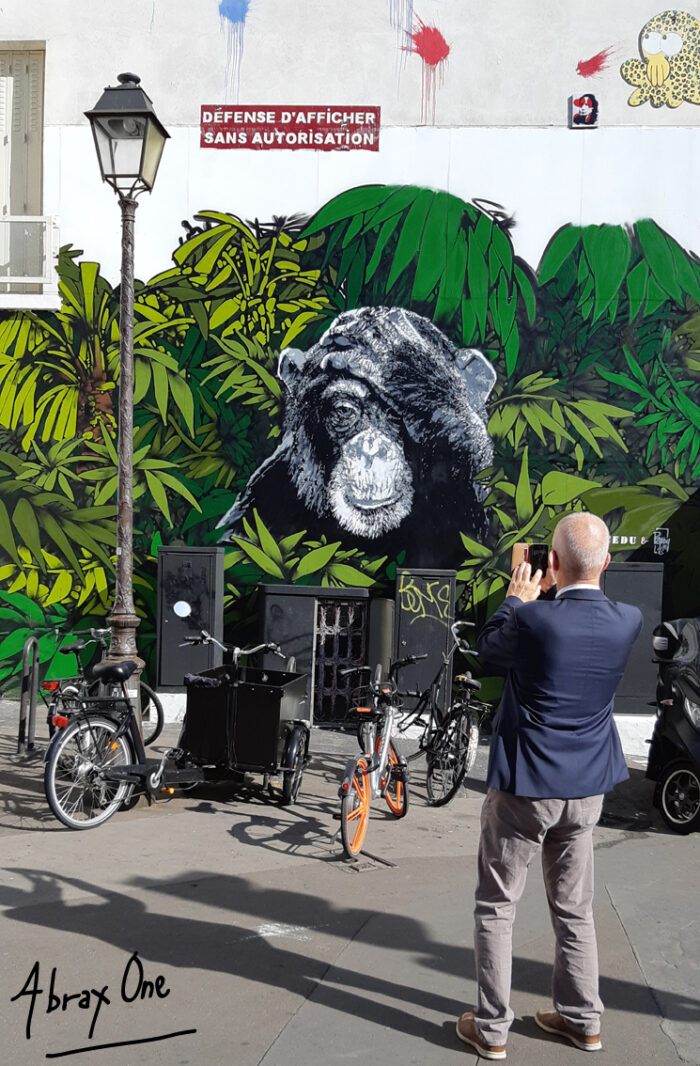 ABRAX ONE — Street Monkey, 2018